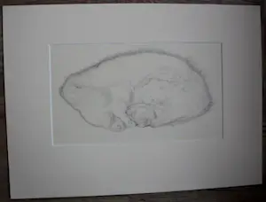 Chris Lebeau - Krijttekening: Kat, opgerold en slapend - 1937 kopen? Bied vanaf 325!