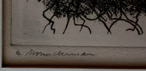 Willem Minderman - Ets: Wilde planten kopen? Bied vanaf 25!