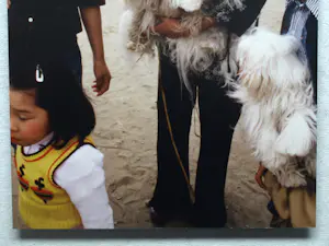 Henk Schiffmacher - Gesigneerde foto op dibond “Vrouw met Honden” + gesigneerd fotoboek kopen? Bied vanaf 150!