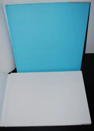 Leo Wisselink - schilderijen van Den Haag: 2 hardcovers > allebei gesigneerd kopen? Bied vanaf 50!