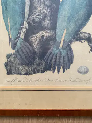 Jan Christiaan Sepp - Fraaie litho naar Jan Christiaan Sepp & Nozeman 18e eeuw kopen? Bied vanaf 40!