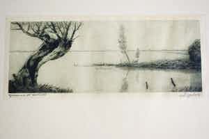 Dirk Harting - Knotwilg aan het water verkocht voor € 75!