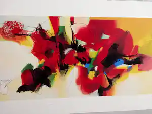 Pieter Vermeulen - 2x prachtige kleurenzeefdrukken verkauft für € 45!