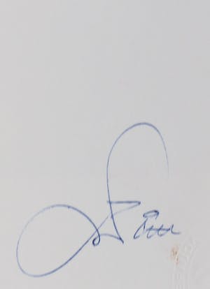 Franscz Witte - Gemengde techniek op papier, Model kopen? Bied vanaf 1!