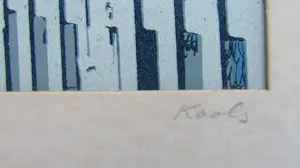 Leo Kools - Ierland kopen? Bied vanaf 15!