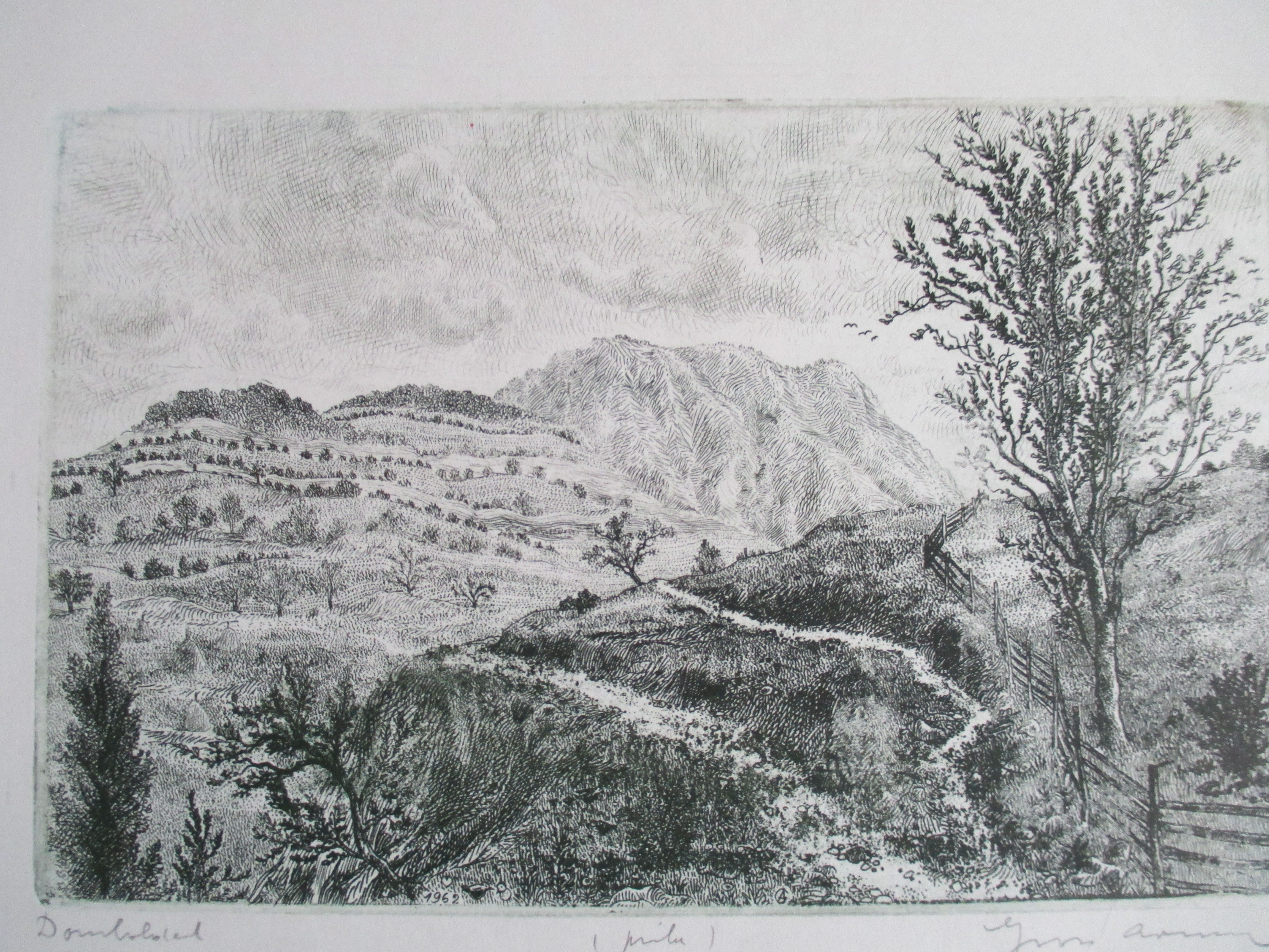 Arnold Gross - Ets landschap verkocht voor € 40!