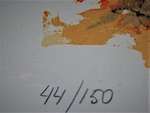 Nic Jonk - gesigneerde -Beperkte Oplage - Zeefdruk - Voloptueus liggend vrouwelijk naakt kopen? Bied vanaf 10!