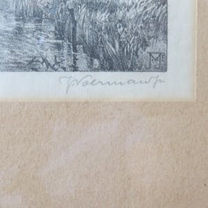 Jan Voerman (jr.) - knotwilg aan de waterkant kopen? Bied vanaf 30!