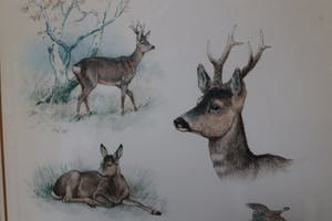 George Frederic Rotig - Cerf avec chevreuil et faisan kopen? Bied vanaf 50!