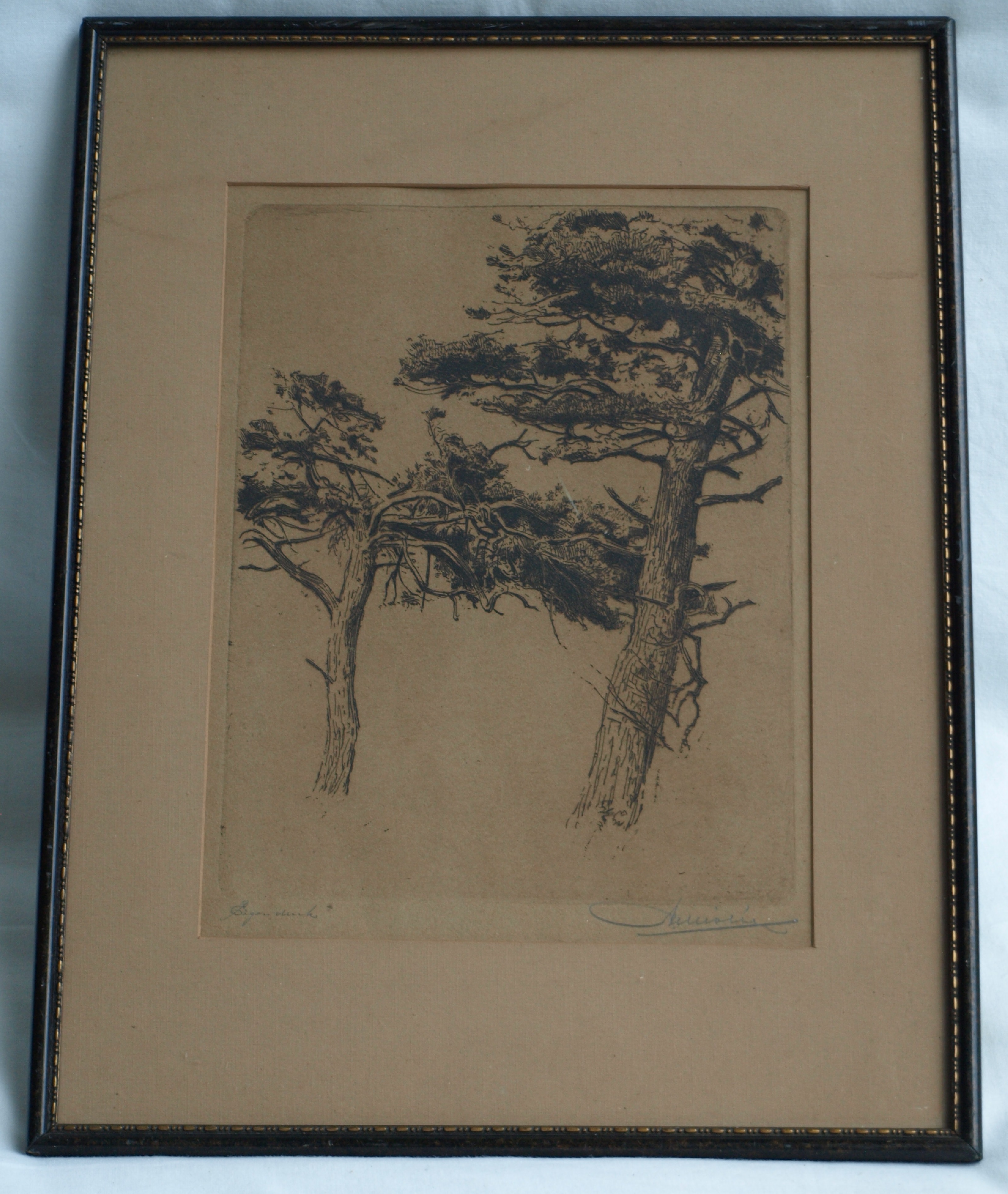 Niet of onleesbaar gesigneerd - Ets, 2 Bomen – gesigneerd & ingelijst – oud kopen? Bied vanaf 1!