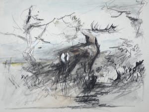Floris Tiele - 9x diertekening van reeën kopen? Bied vanaf 39!