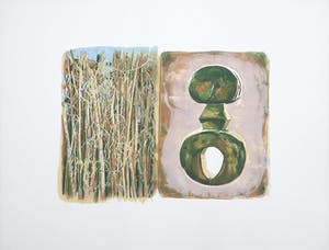 Ed van der Kooy - Litho, Sacred roots kopen? Bied vanaf 1!