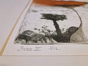 Nicolaas Wijnberg - Grote, in zeer kleine oplage (prova III 3/12) gemaakte kleuren-Ets "Fö(h)n " kopen? Bied vanaf 44!