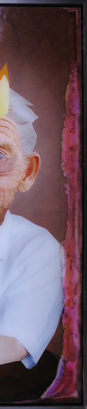 Barbara van den Berg - C-Print op dibond, Proteus - Ingelijst (Groot) kopen? Bied vanaf 1!