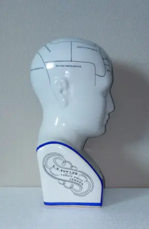 Curiosa - Phrenology hoofd van L.N.Fowler - Porselein kopen? Bied vanaf 50!