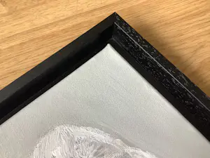 Dorien Plaat - Barnuil kopen? Bied vanaf 350!