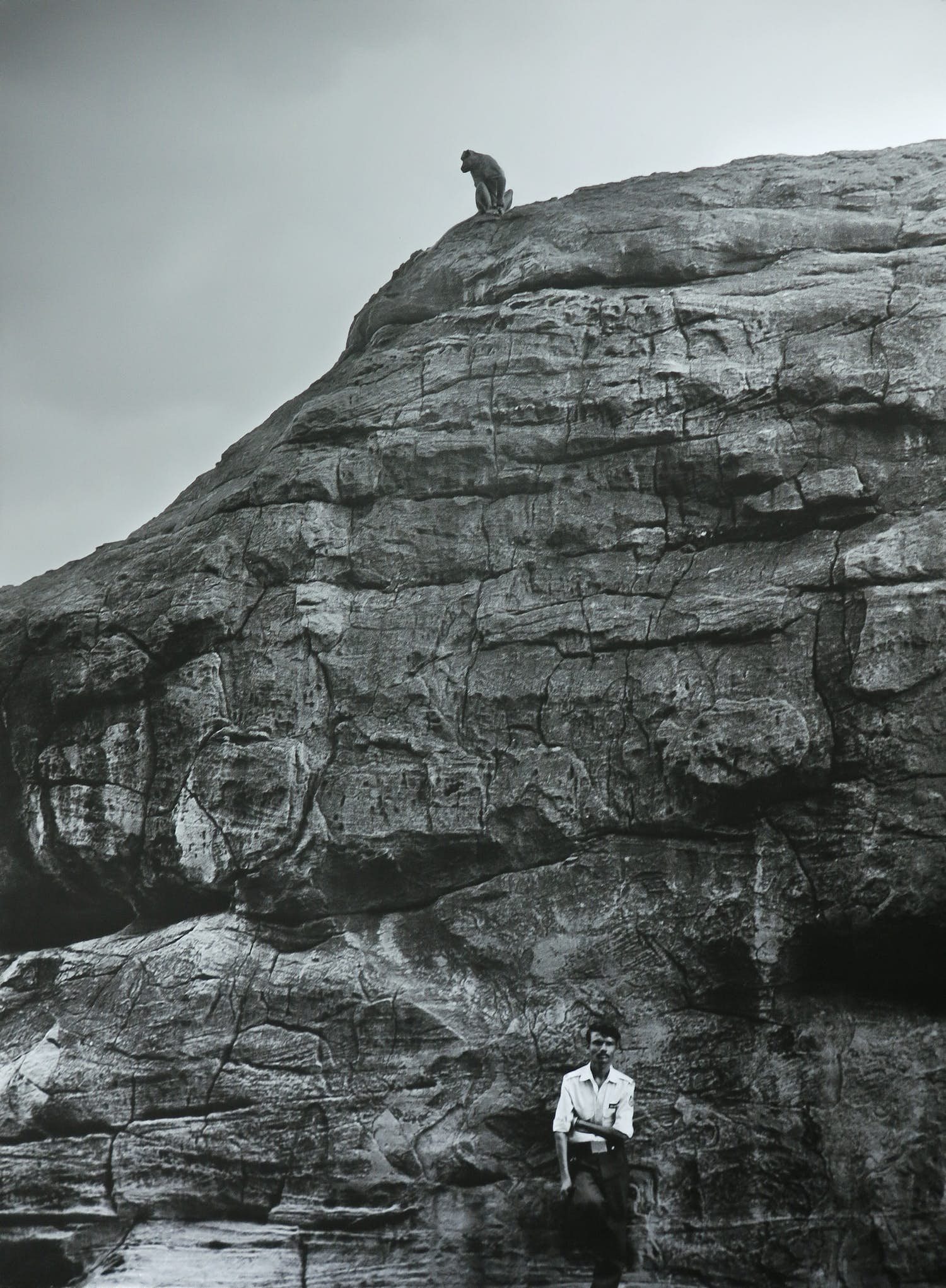 Prarthana Modi - Foto op alubond, Evolution Badami (Zeer groot) kopen? Bied vanaf 1!