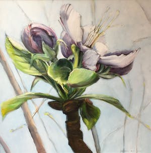 Jeroen Dercksen - C4461-A5 - Magnolia kopen? Bied vanaf 300!