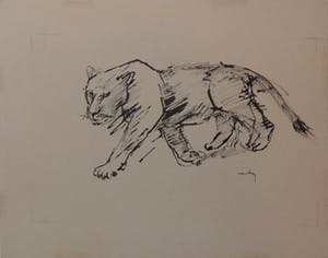 Wim Motz - 4 tekeningen van leeuwen/leeuwinnen kopen? Bied vanaf 50!