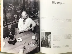 Karel Appel - Van der Vet - Dotremont - 1991 - Hard cover / Plus: Mogens Balle - Zeer goed kopen? Bied vanaf 70!