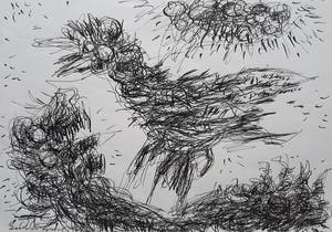 Erik Ortvad - Vogel, inkttekening kopen? Bied vanaf 125!