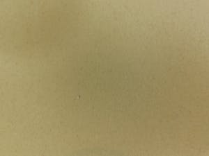 Leonor Fini - Fruits de la Passion kopen? Bied vanaf 35!