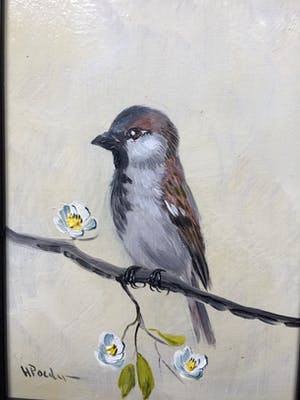 Henk Poeder - Huis mus op tak bij bloemen kopen? Bied vanaf 62!