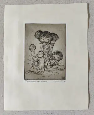 Johan Hemkes - Honingzwammen kopen? Bied vanaf 35!