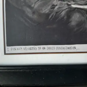 Rinus Van de Velde - FINALLY RESORTED TO ON ENDLESS PROCROSTINATION ... kopen? Bied vanaf 395!