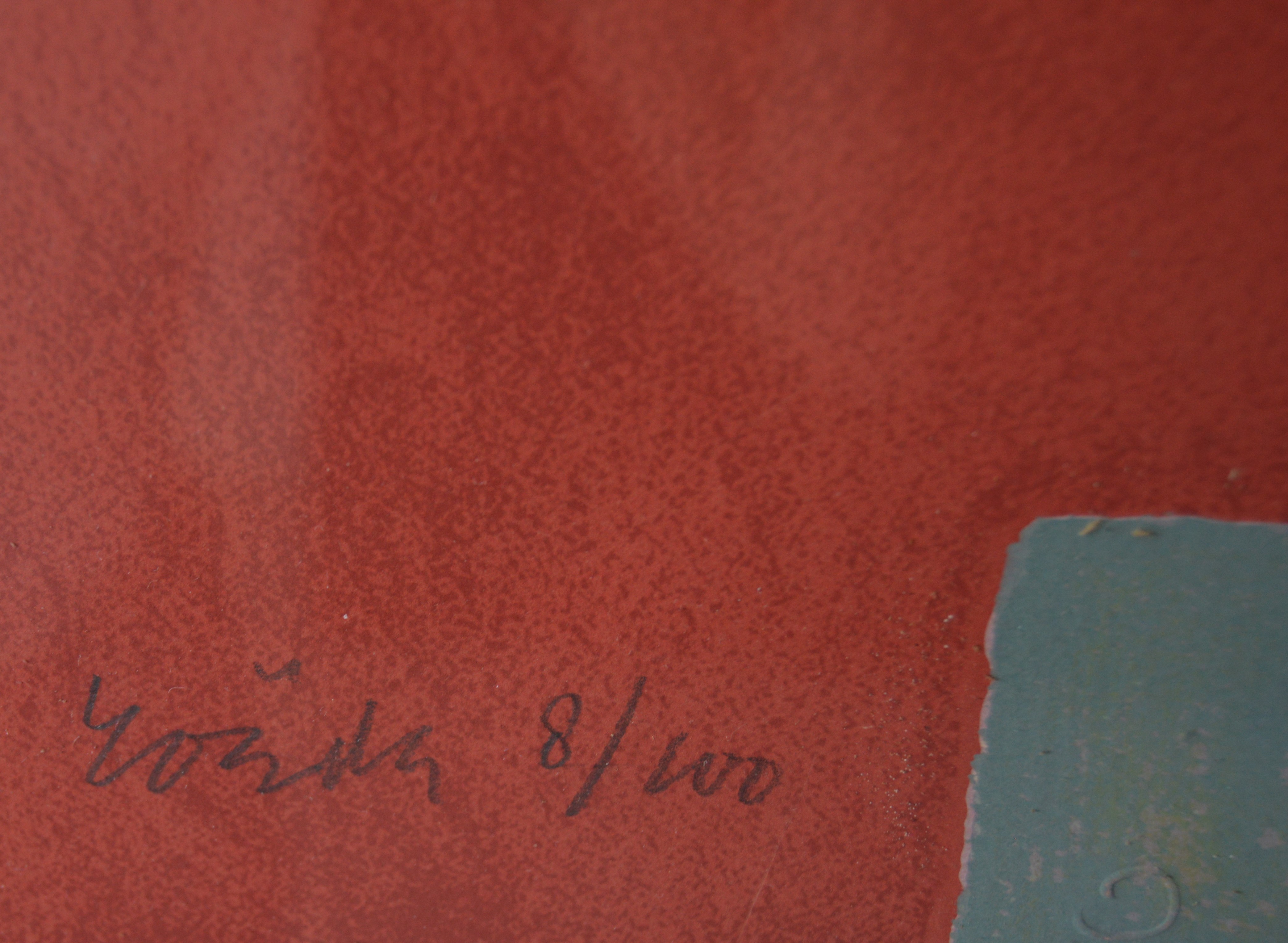 Jan Roede - Zeefdruk - Touwtje Springen - ingelijst - opl.100 ex. kopen? Bied vanaf 129!