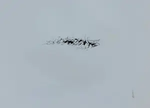 Melle Oldeboerrigter - Portfolio met 14 litho's kopen? Bied vanaf 75!