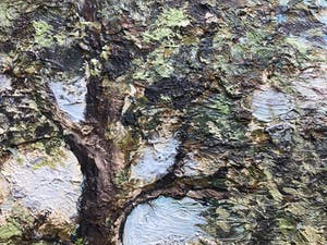 Niet of onleesbaar gesigneerd - Boom. kopen? Bied vanaf 1!