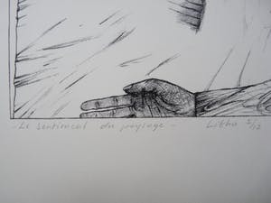 Kees Spermon - LE SENTIMENT DU PAYSAGE kopen? Bied vanaf 40!