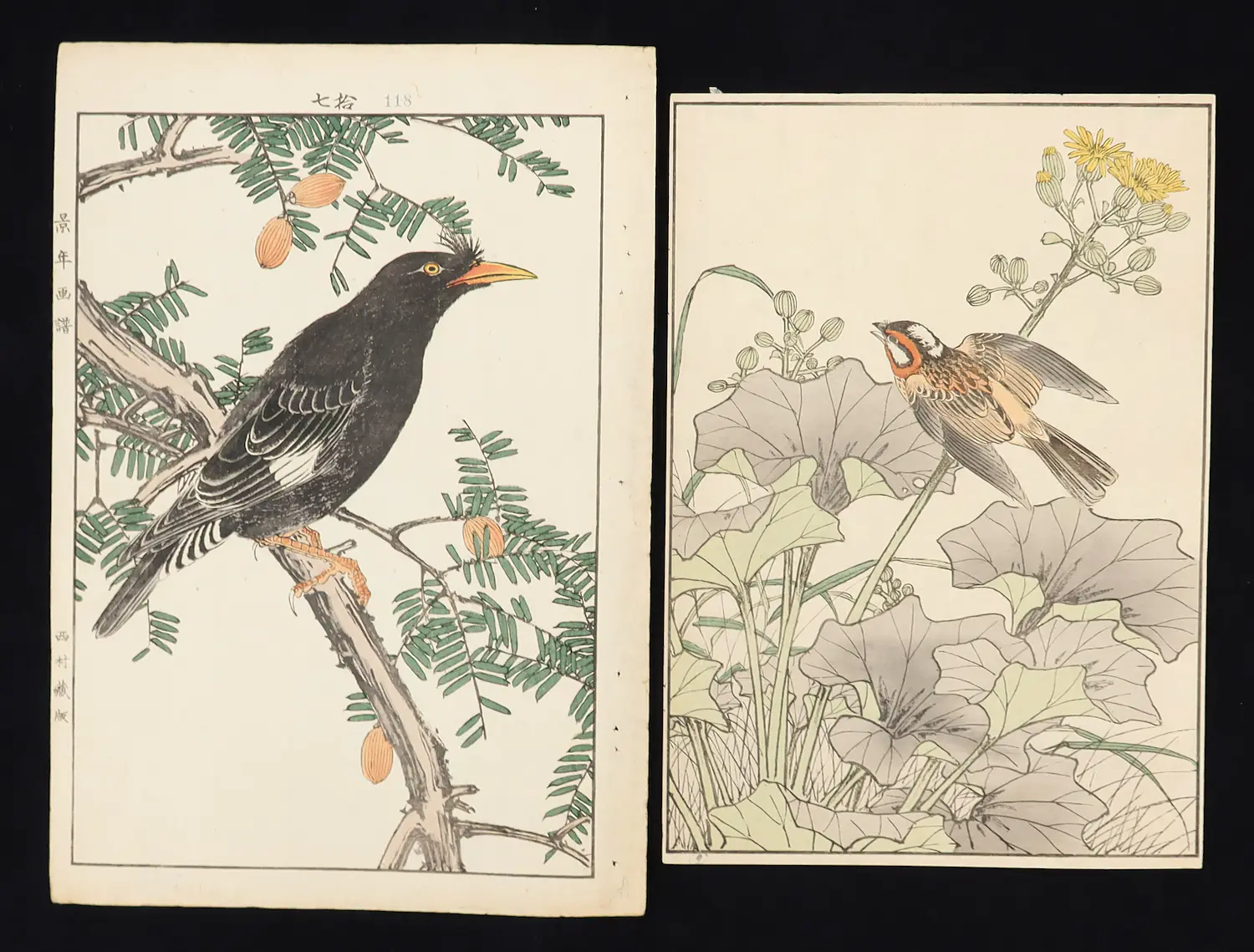 Imao Keinen (1845-1924)