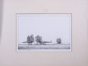 Hans Visser - Litho, Landschap met omgevallen bomen kopen? Bied vanaf 1!