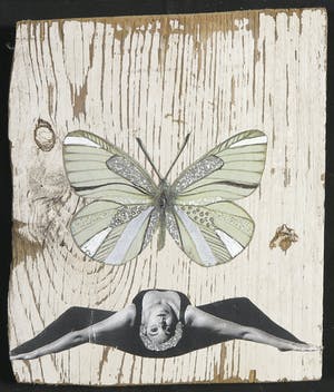 Shila Oringer - Collage op hout, Butterfly kopen? Bied vanaf 1!