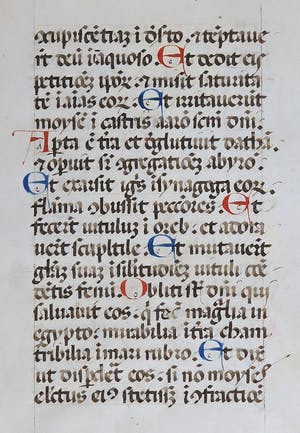 Curiosa - Geïllumineerde tekst op perkament uit een getijdenboek kopen? Bied vanaf 1!