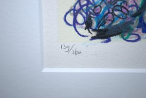 Kees Salentijn - ingelijste zeefdruk kopen? Bied vanaf 40!