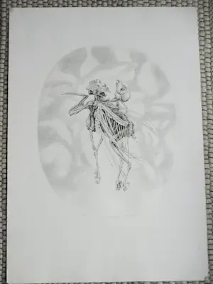 Gerard van Rooy - Danse Macabre II - Ets kopen? Bied vanaf 60!