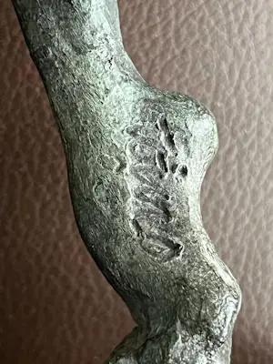 Toine Dekkers - DE LIMBURGSE KLEIO kopen? Bied vanaf 180!