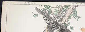 Imao Keinen - Twee Japanse prenten van vogels kaufen? Bieten Sie von 90!