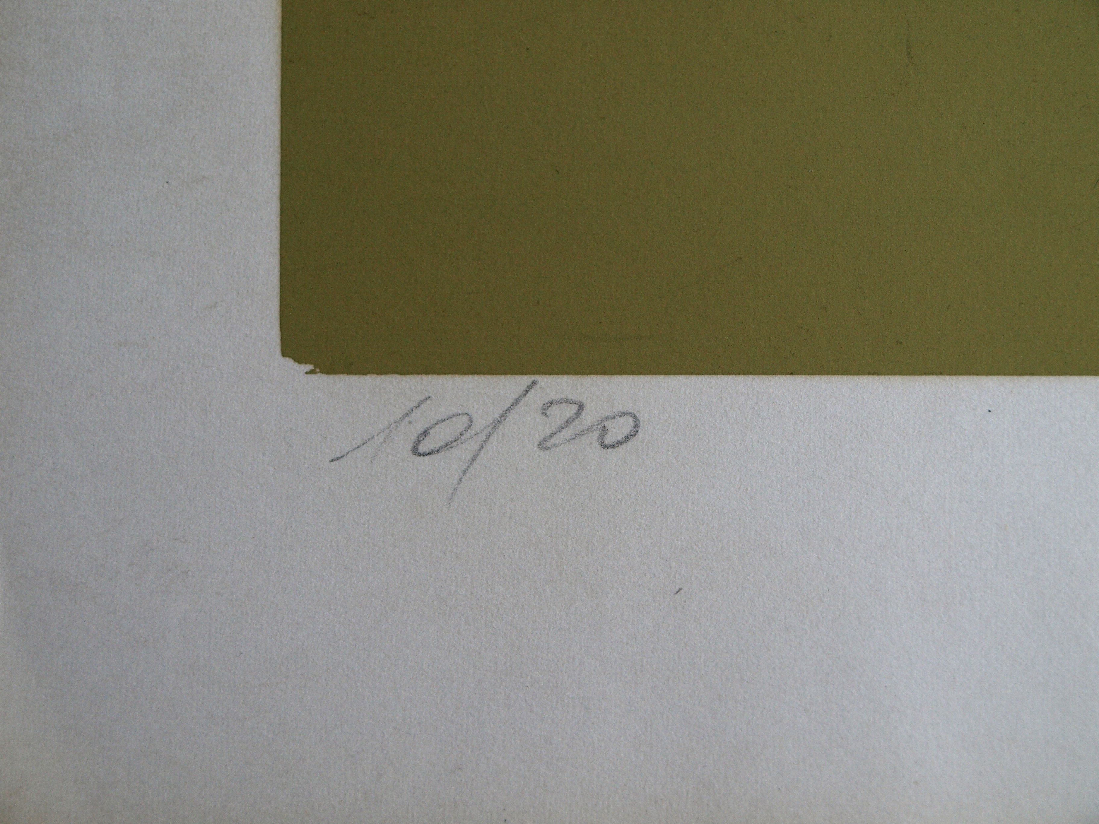 Niet of onleesbaar gesigneerd - Zeefdruk , 2 Zwarte kippen – gesigneerd – 1980 – oplage 10/20 kopen? Bied vanaf 1!