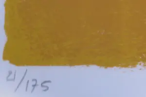 Theo Tobiasse - Litho op geschept papier, Histoire Gravée Dans L'Ecorce Des Vies (Groot) kopen? Bied vanaf 20!