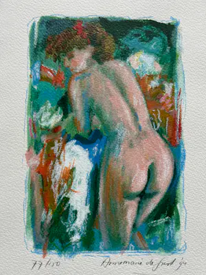 Annemarie de Groot - Cassette 4 verschillende zeefdrukken - Naakt in de tuin kopen? Bied vanaf 50!