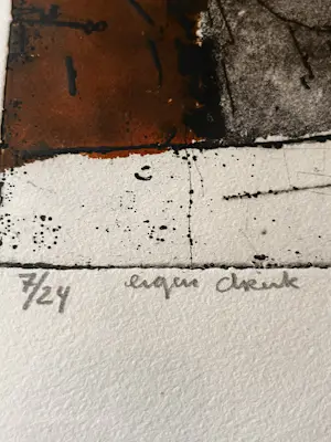 Werner Moonen - Kleurenets "Huis" 7/24 Eigen Druk kopen? Bied vanaf 35!