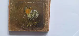 Hans van Wijk - Vlinder .Klein schiderij kopen? Bied vanaf 70!