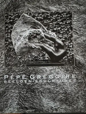 Pepe Gregoire - VIER BOEKEN filosofisch essay, Beelden / Sculptures, catalogus + Pieter d’Hont kopen? Bied vanaf 100!
