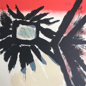 Jan Cox - Originele kleurenlitho - 1978 - 105/150 - Gesigneerd kopen? Bied vanaf 95!