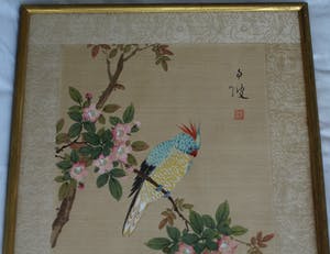 Niet of onleesbaar gesigneerd - Ingelijste aquarel op zijde, Japan? China? , Papagaai kopen? Bied vanaf 1!