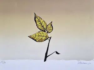 Wally Elenbaas - Mooie kleuren lithografie "onweer" - gelimiteerde oplage (80) - gesigneerd kopen? Bied vanaf 57!